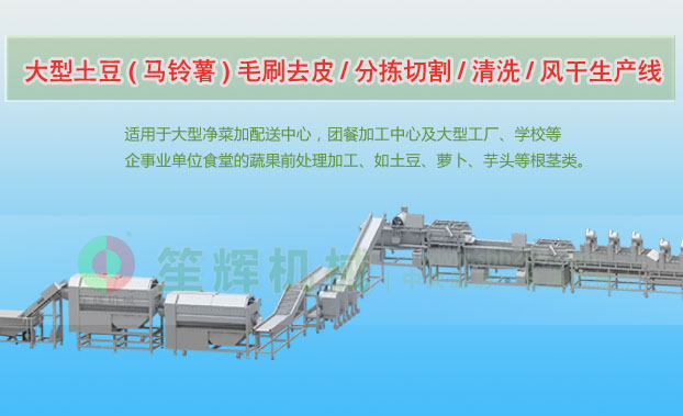 延平连续式土豆去皮清洗切割风干生产线